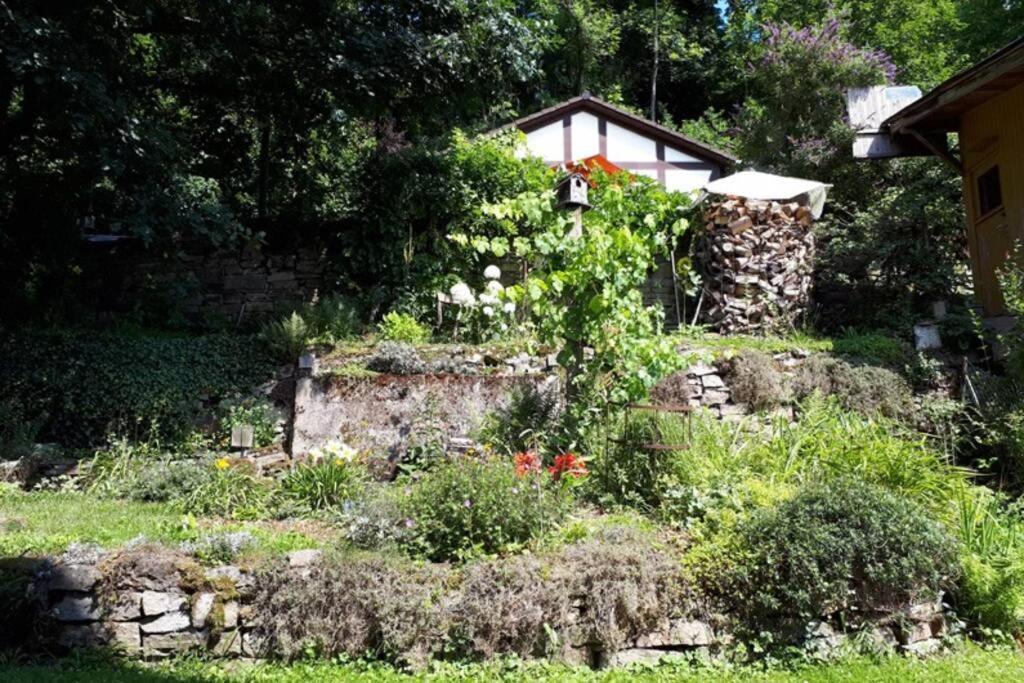 Eine Gemuetliche Ferienwohnung Mit Garten Bad Karlshafen Exterior foto