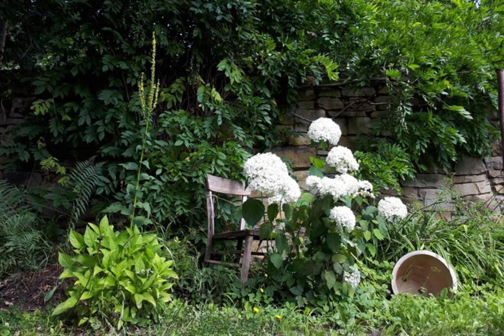 Eine Gemuetliche Ferienwohnung Mit Garten Bad Karlshafen Exterior foto